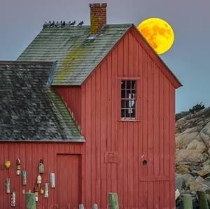 Meet your Posher, Carol